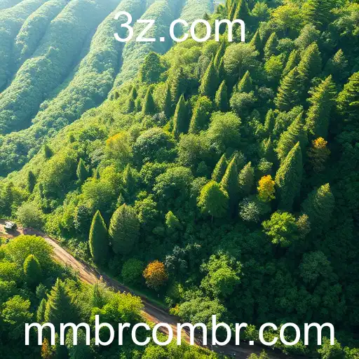 mmbr